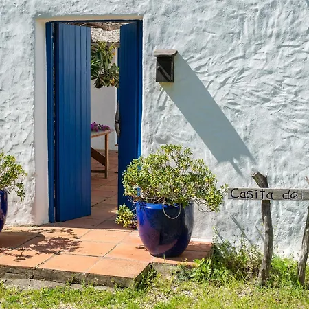 Casas Karen Apartment Los Canos De Meca Exterior photo