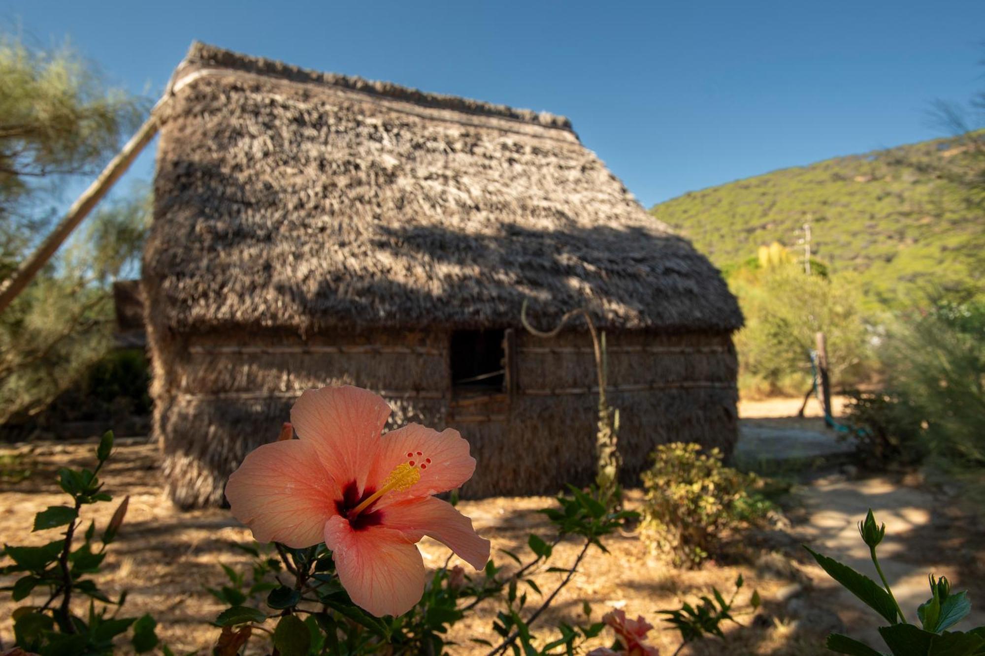 Casas Karen *